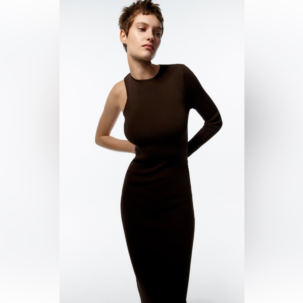 Zara Asymmetric Sleeve Knit Dress